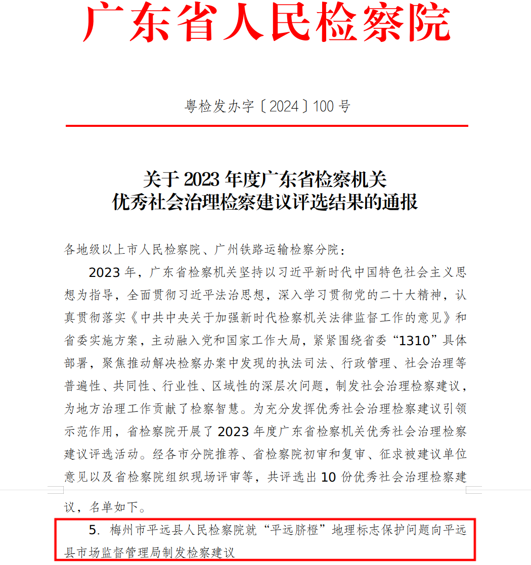 脐橙.jpg